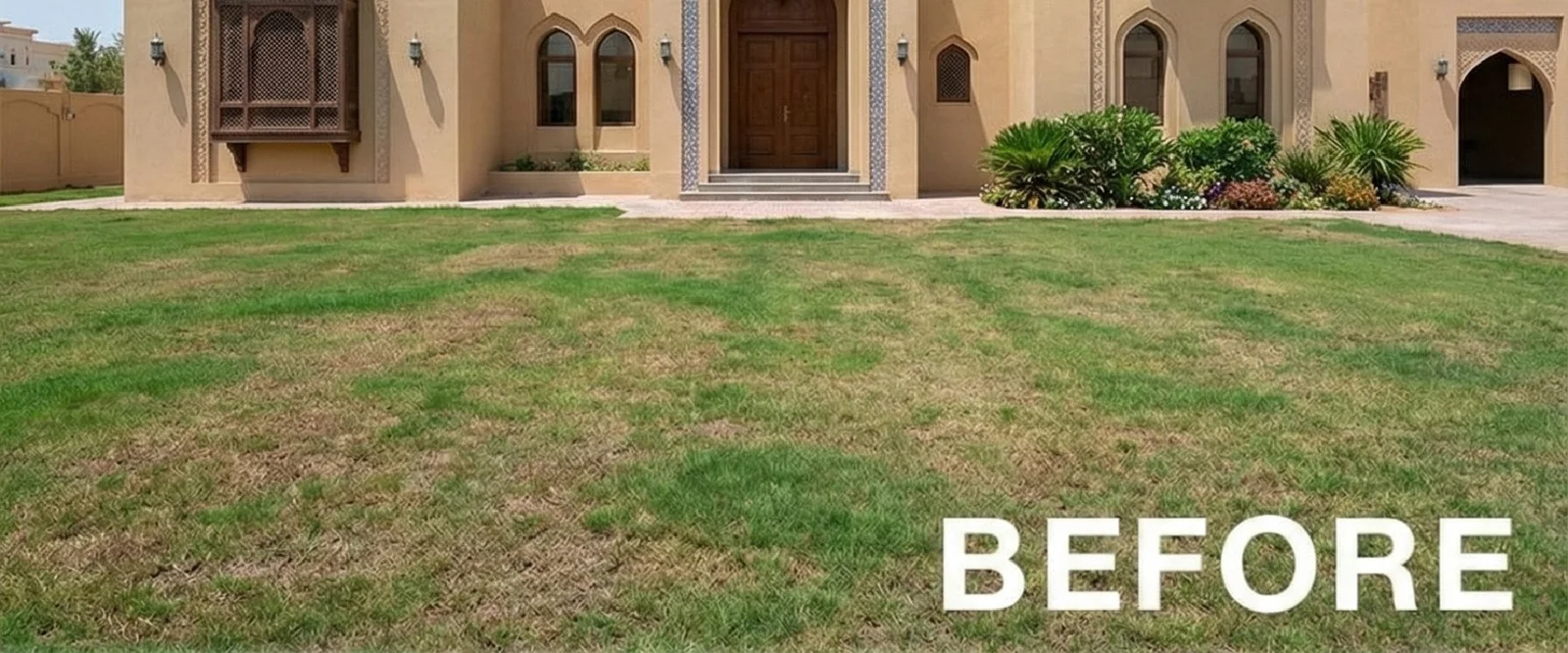 Before-and-after-2-01